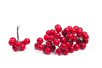 .christmas decoration red berries in bunches isolated on white background .