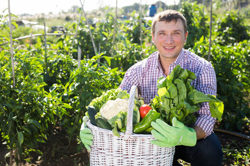 Man gardener holding basket with harvest of vegetables in garden outdoor