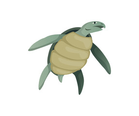 Turtle character. Green sea or ocean tortoise swimming. Wildlife animal in shell. Flat vector illustration isolated on white background