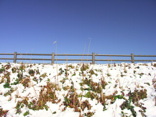 朝の残雪の放水路土手と青空風景