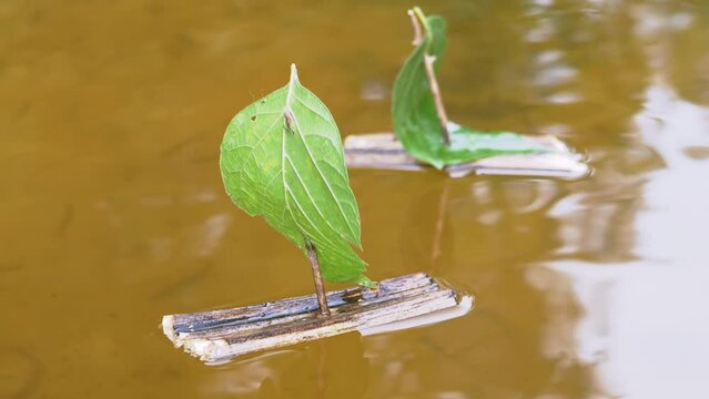 A Two Small Homemade Children Wooden Ships Floating with the River. Toy boats sway on waves, reflected on surface of clear water. Sailboats with a green leaf in sunset. Game, dream, trip, discovery.