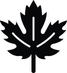 Maple leaf Vector Icon Design Illustration