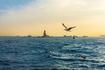 Fototapeta na wymiar Istanbul Bosporus, a panorama , ships and Maiden's Tower at sunset.