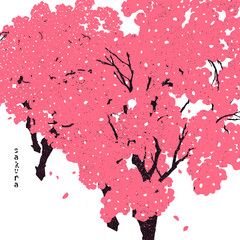 Cherry blossom, spring in Asia. Vector illustration with sakura flowers. A group of trees on a white background. - 488974785