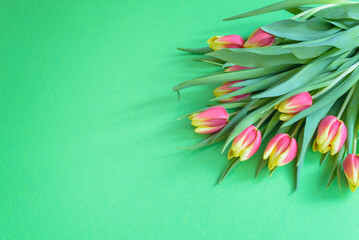 Top view of bunch of yellow and pink tulips arranged on a green background with copy space on the left.