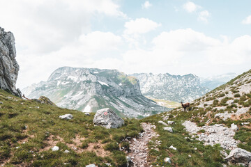 Trail to the Bobotov Kuk located in the center of Durmitor National Park in Northern Montenegro.
