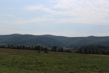 Fototapeta premium landscape with mountains