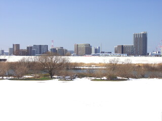Fototapeta premium 土手から見る早春の雪の残る江戸川河川敷風景