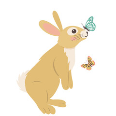 hare, rabbit with butterfly cartoon flat design, isolated vector