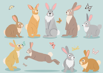 hare, rabbit set cartoon flat design, isolated vector