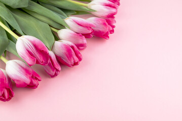 Blurred image of pink tulips on a pink background with space for writing text.