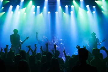 Shot of a large crowd at a music concert- This concert was created for the sole purpose of this...