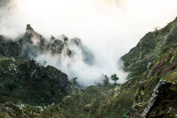 madère - madeira 45