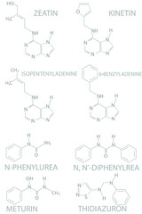 Obraz premium Structural chemical formulas of natural and synthetic plant hormones cytokinins. 