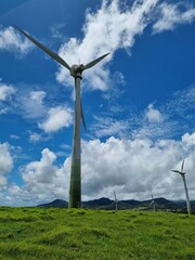 Millstream in North Queensland in the summer