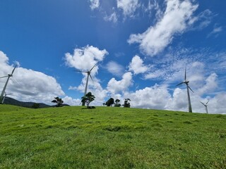Atherton, North Queensland. Travel photos in Atherton greater region in summer
