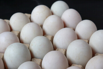 Close up of Eggs white in paper tray on black background