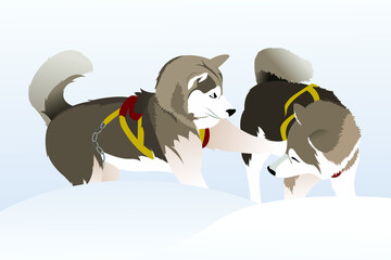 vector drawing sled dog breed Siberian Husky