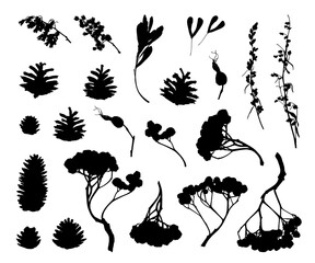 Collection of Natural botanical silhouettes. Vector design elements in country style