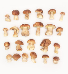Beautiful fresh porcini mushrooms  in metal basin on dark background isolated season healthy food 