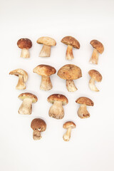 Beautiful fresh porcini mushrooms  in metal basin on dark background isolated season healthy food 