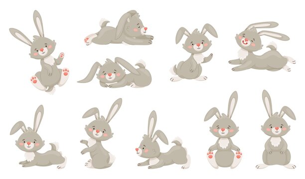 Cartoon rabbits, cute baby bunny, gray fluffy hare. Easter bunnies in different poses, adorable rabbit, wildlife or farm animals vector set of rabbit cute, animal characters illustration