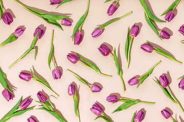 Pink tulips pattern on pink background flat lay, top view