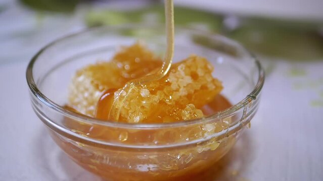 Dense Natural Honey Flows in a Thick Stream in a Glass Bowl on a Honeycomb. Orange transparent honey rotates in a spiral, plunging in bee combs. Healing, organic, healthy beekeeping product.