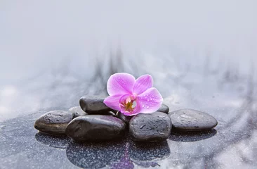 Foto op Canvas Spa stenen en roze orchideebloemen op grijze achtergrond. © Swetlana Wall
