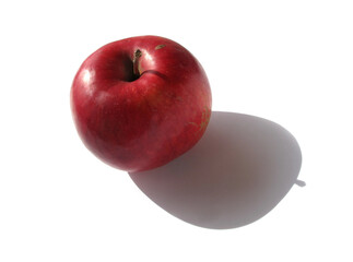Apple on a white background. sunlight