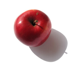 Apple on a white background. sunlight
