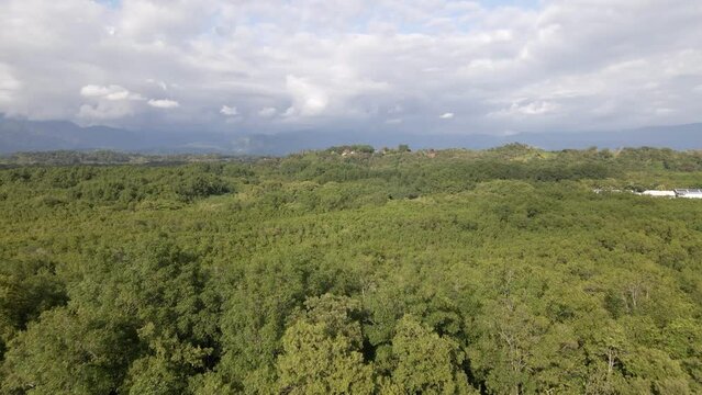 Tin hut village bordering on a lush rainforest with mangroves on Damas Island, Costa Rica. Low aerial dolly-in