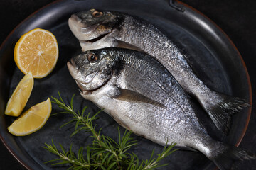 Fresh raw dorado on a tin tray with lemon slices and rosemary. Mockup for fish restaurant, shop or market. Still life in dark colors