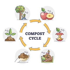 Compost cycle with natural food waste recycling process outline diagram. Educational loop scheme with apple biodegradable stages vector illustration. Sustainable organic rubbish and waste management.