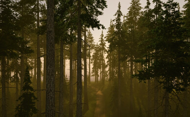 Path in foggy fir forest at sunrise in springtime. 3D render.