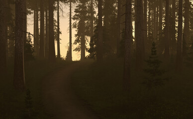 Trail in foggy fir forest at sunrise in springtime. 3D render.