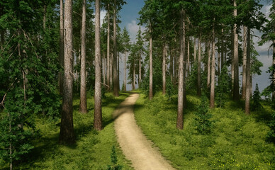 Fototapeta na wymiar Trail in sunny forest with firs, grass and flowers under a blue cloudy sky. 3D render.