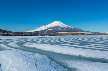 冬の山中湖から湖面に咲く渦巻の様な氷紋と富士山の朝景