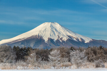 山中湖村花の都公園から霧氷と富士山雪景色