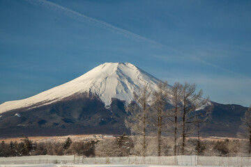 Obraz premium 山中湖村花の都公園から霧氷と富士山雪景色