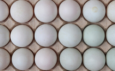 Close-up of egg whites in a gray paper tray