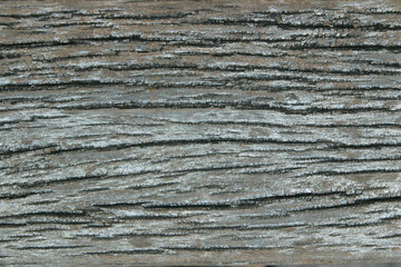 The texture of the use of bark wood as a natural background