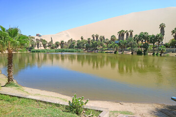 Fototapeta na wymiar Natural lagoon of Huacachina oasis town surrounded by rows of palm trees and amazing sand dune, Ica region, Peru, South America