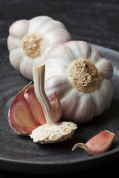 Garlic