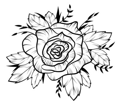 Rose flower. Black contour drawing. View from above. Rose bud with leaves. Spring floral print, decoration, design element. Flower rose outline. Vector illustration isolated on white background.