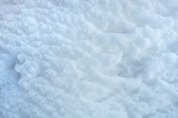 Snow dune in the mountains