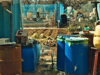 穏やかな午後の農家の風景