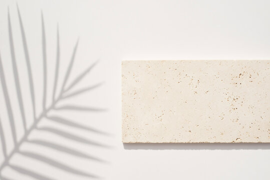 Natural piece of stone for the presentation of jewelry and cosmetics. Storage Tray. Presentation with daylight. Blurred shade. Summer sunlight from herb. Abstract beautiful backdrop for text or
