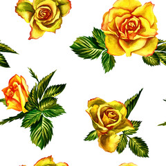 Floral pattern of roses on a white background.