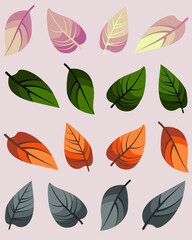 Small collection of colorful leaves. Spring, summer, autumn and winter leaves for postcards, banners and for your varied design. - 488999578